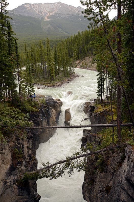 08 Sunwapta Falls From Icefields Parkway
